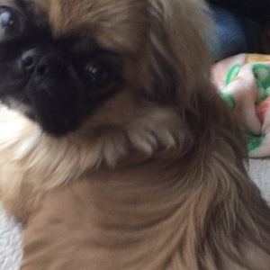 Meet your Posher, Allison